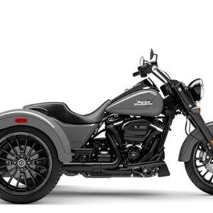 2025 Freewheeler (Billiard Grey)